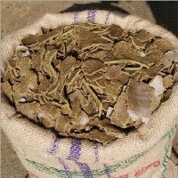 seeds-amaranth